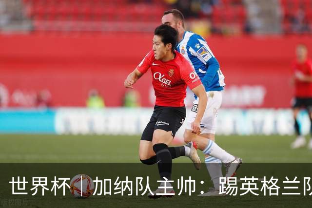 世界杯｜加纳队主帅：踢英格兰队不需要动员